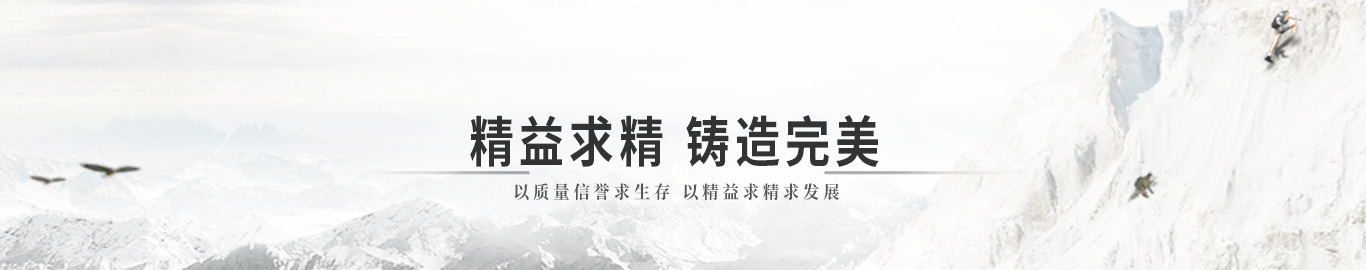 精益求精 铸造完美 以质量信誉求生存 以精益求精求发展