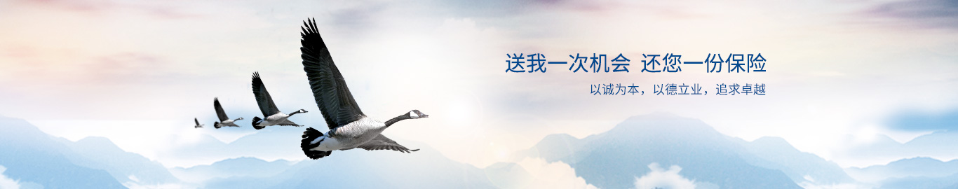 送我一次机会 还您一份保险